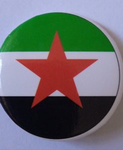 CHAPA ESTRELLA PALESTINA